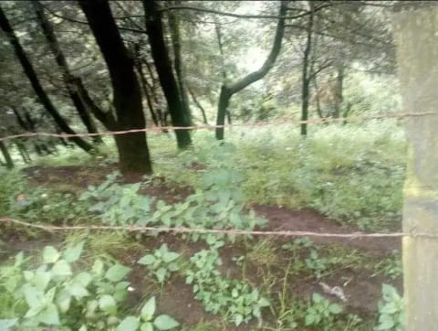 TERRENO VENTA MANUEL AVILA CAMACHO IXTAPALUCA