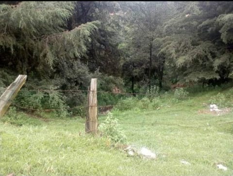 TERRENO VENTA MANUEL AVILA CAMACHO IXTAPALUCA 3