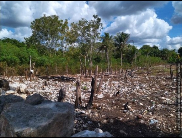OPORTUNIDAD DE TERRENO EN REMATE EN TIXCUNCHEIL, BACA YUCATÁN.