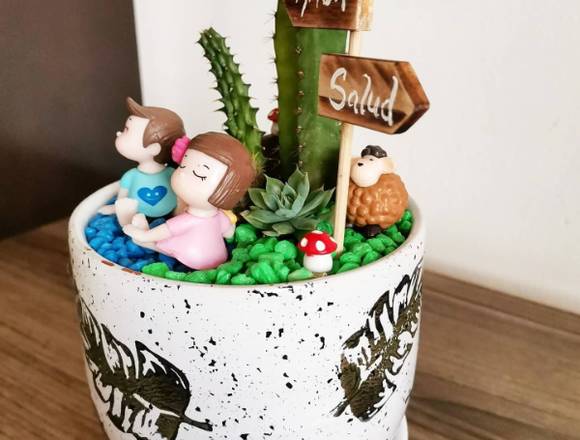 Terrarios o mini jardines