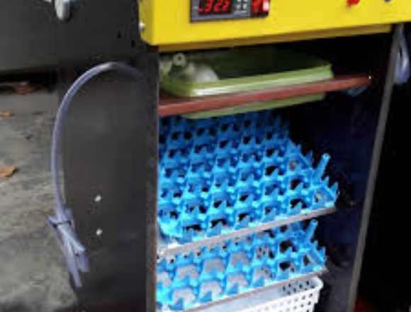 incubadoras todo tipo de huevo profesional en Santo Domingo Este (Municipio)