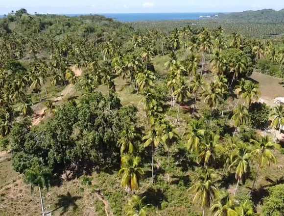 Terreno en Samana, 6,695 Metros. $800,000 USD en Sánchez (Municipio)