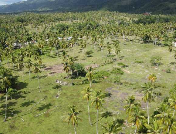 Terreno en Samana, 46,000 metros en Santo Domingo Oeste (Municipio)