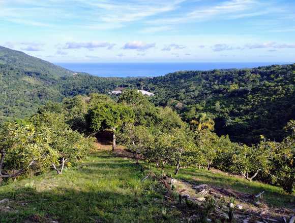 Finca en Paraiso, Barahona, 405 Tareas, US$995,000 en Santo Domingo de Guzmán (Municipio)