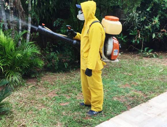 servicio de fumigacion control de plagas en Santísima Trinidad (Distrito)
