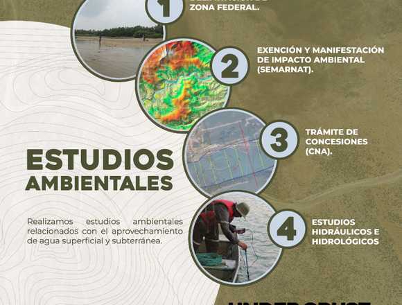Estudios Ambientales; MIA, EIA, EXIA, etc en Ciudad Madero (Municipio)