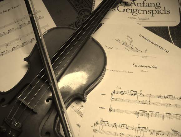 CLASES PARTICULARES VIOLIN DOMICILIO V REGION en Valparaíso (Comuna)