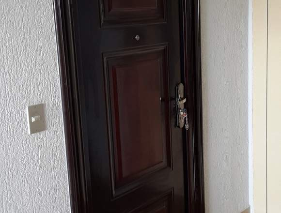 Puertas Sage ( Puertas blindadas, ACERO) en Viña del Mar (Comuna)