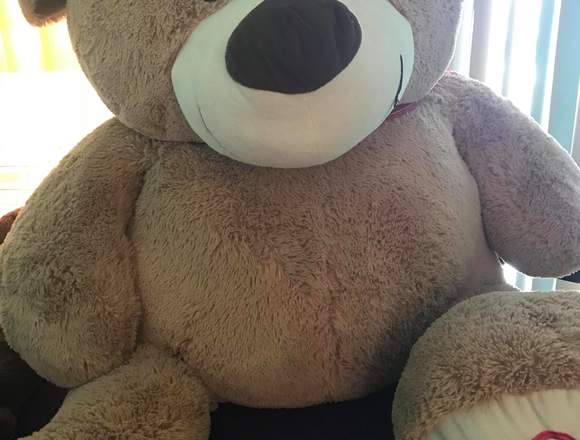 EL PELUCHE SUMAMENTE GRANDE en Arteaga (Municipio)