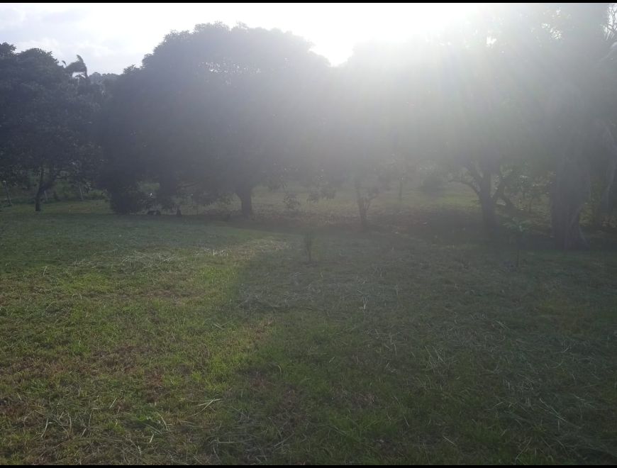 Se vende terreno CHORRERA 2,400 mts en La Chorrera (Distrito)