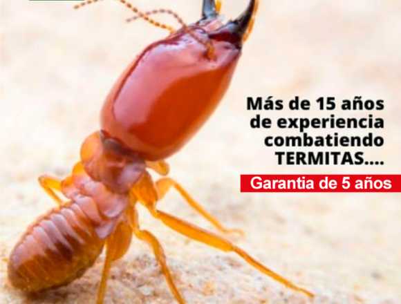 Fumigacion de Termitas, eliminamos las termitas en Guayaquil (Cantón)