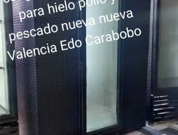 Vendo cava congeladora Nueva en Valencia (Municipio)