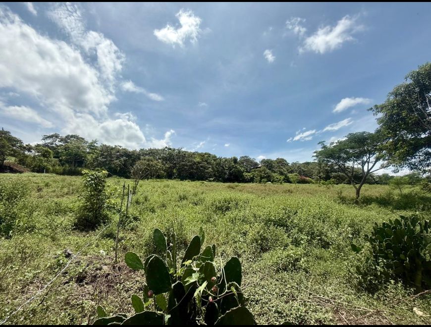 Venta de lotes en Guácima, Alajuela #26-631 en Alajuela (Cantón)