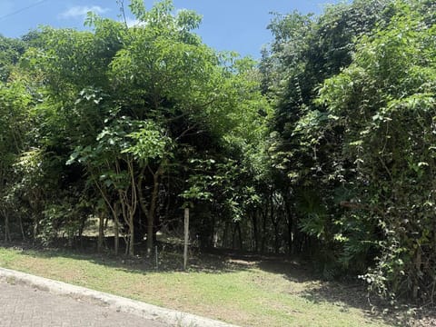 Se vende lote en San Pedro #26-329 en Montes de Oca (Cantón)