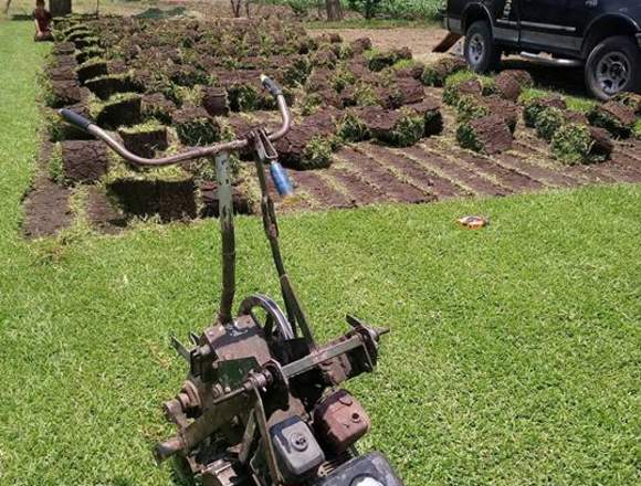 PASTO EN ROLLO y tierra de jardin CUERNAVACA en Morelos (Municipio)