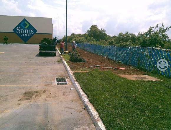 VENTA DE PASTO EN ROLLO Y TIERRA PARA JARDIN en Morelos (Municipio)