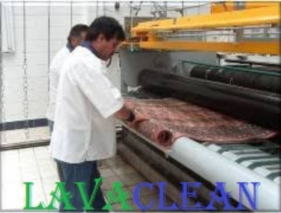 Lavado y Sanitizado de Alfombras Salas Interlomas en Huixquilucan (Municipio)