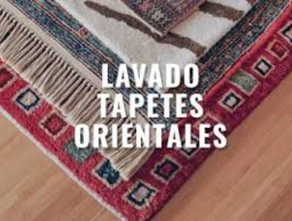 Sanitizado y Lavado de Tapetes Salas Ojo de Agua en Tecámac (Municipio)