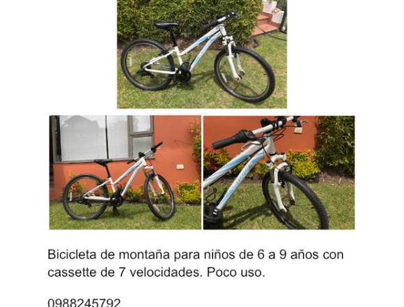 Bicicleta de montaña