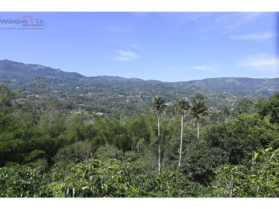 LOTE EL MILAGRO_EN VENTA_ SASAIMA