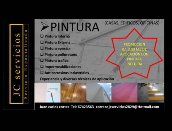 Pintor profesional e impermehabilizaciones en Panamá (Distrito)