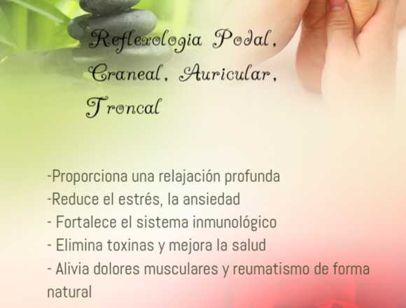 Masajes Reflexologia / Reiki en Derio (Municipio)