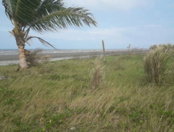 VENTA DE TERRENO O CAMBIO CON VEHÍCULO en Pedernales (Cantón)