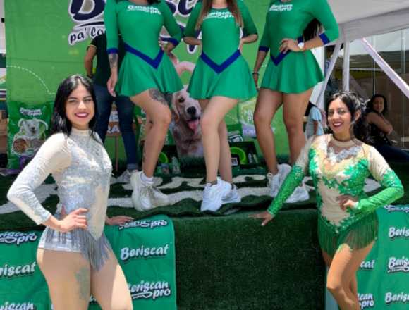 Edecanes AAA y AA en Puebla en Puebla (Municipio)