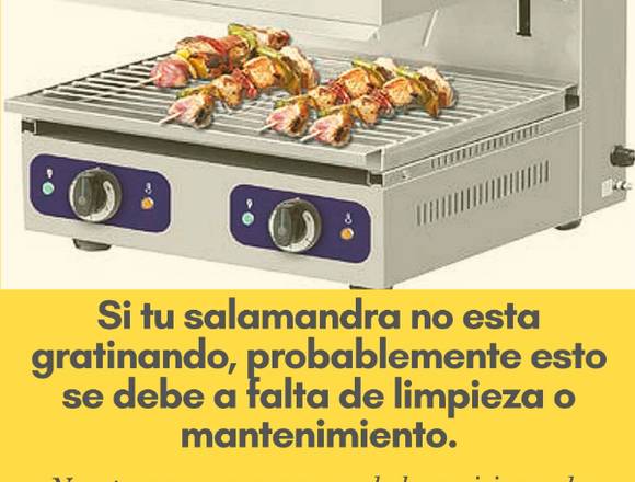 Reparación de salamandra industriales en Panamá (Distrito)