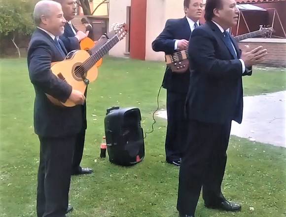 Dúo Trío Musical para ocasiones especiales en Tecámac (Municipio)