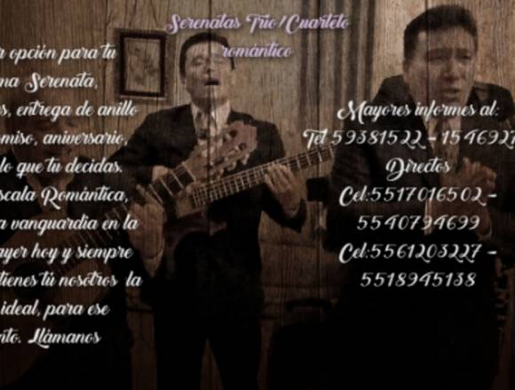Trío/Cuarteto Romántico la Música ideal para ti en Tecámac (Municipio)