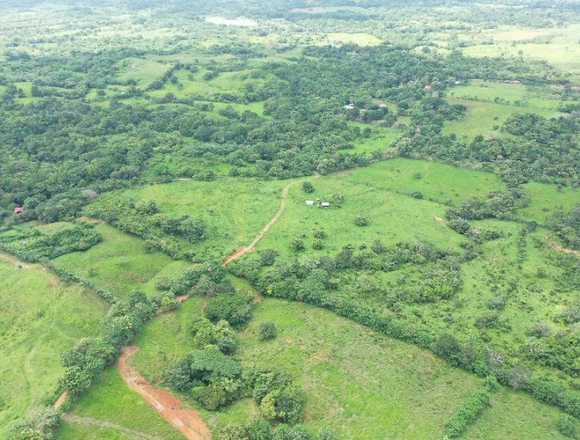 Se vende terreno en la unión de Azuero Tanara en Panamá (Distrito)