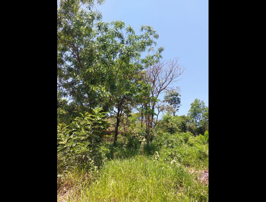 SE VENDE TERRENO EN LA CIUDAD DE AREGUÁ