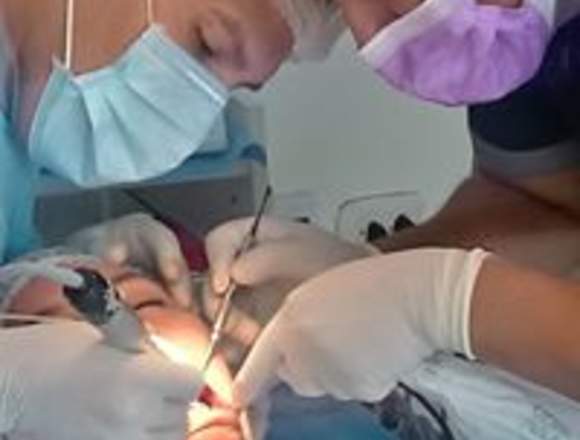 CAMPAÑA DE IMPLANTES DENTALES en Jesús María (Lima 11) (Distrito) – Foto 2 de 2