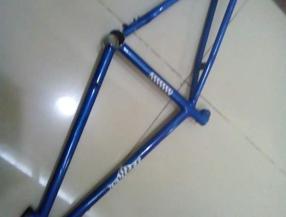 CUADRO BICICLETA BMX AZUL METALIADO r20 en Lago Buenos Aires (Localidad)