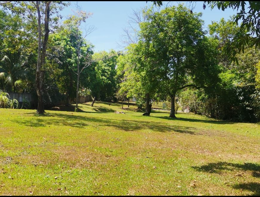 Venta de Lote en Orotina, Alajuela. RAH 25-1565