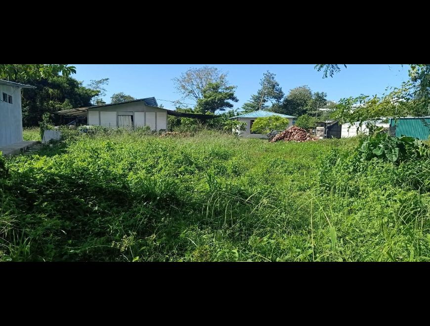Venta de Lote en Osa, Puntarenas. RAH 25-1748