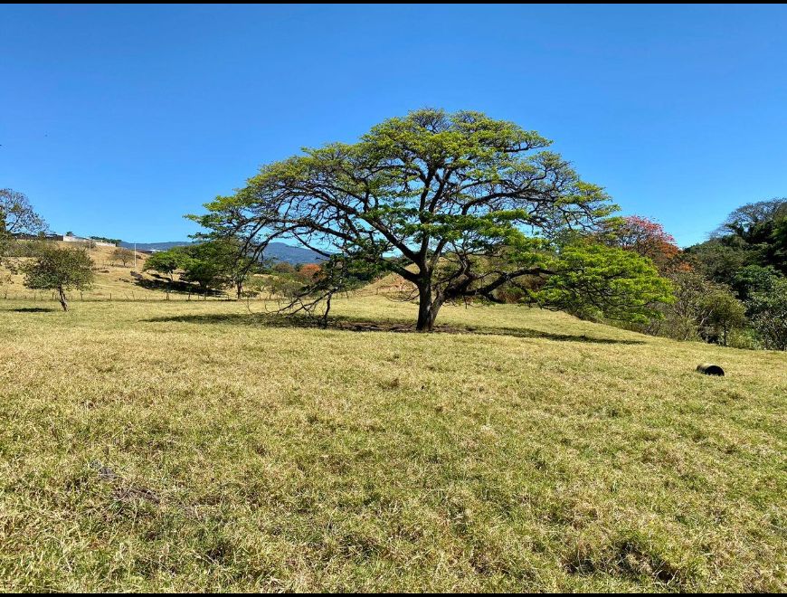 Venta de Lote en Santa Bârbara, Heredia.25-1834 en Paraíso (Cantón)