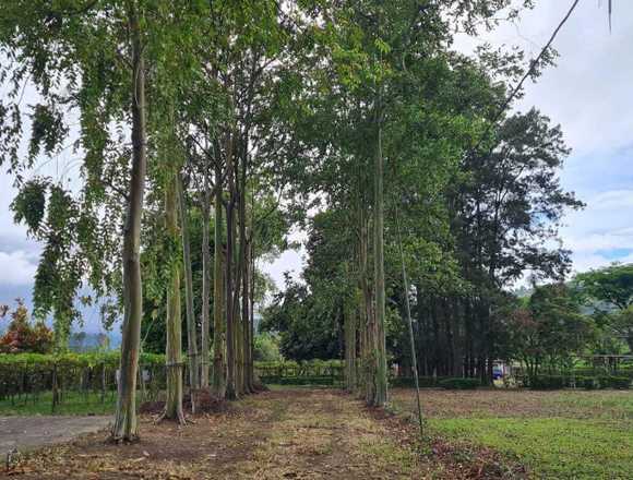 Venta de Lote en Paraíso, Cartago. RAH 25-1740 en Paraíso (Cantón)