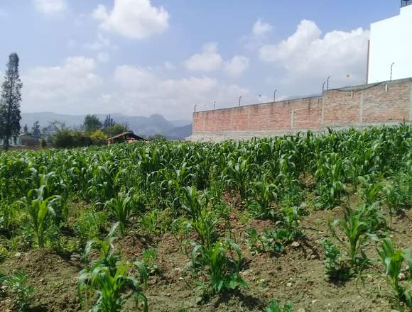 TERRENO PLANITO DE VENTA EN RIÓ AMARILLO en Cuenca (Cantón)