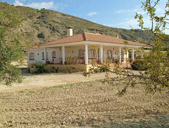 Fincas en venta España Alicante Murcia en Bajos de Haina (Municipio)
