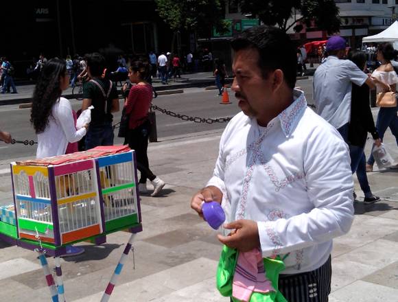 CONTAMOS CON PAJARITO QUE SACA LA SUERTE en Gustavo A. Madero (Municipio)