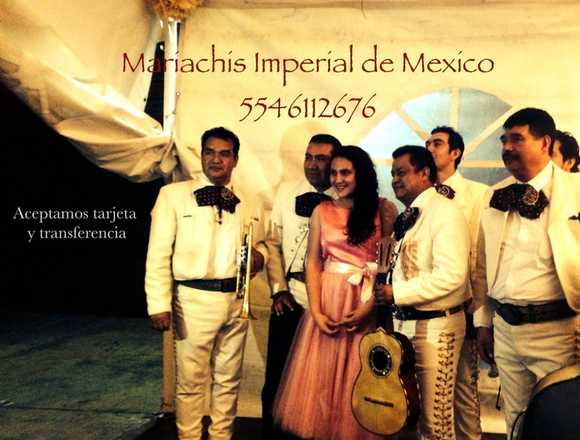 mariachis economicos en Benito Juarez Del Valle en Benito Juárez (Municipio)
