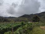 Cuatro hectareas planas a 1:40 de Medellín