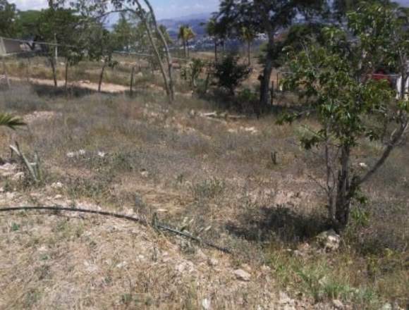 TERRENO CERCADO MANZANO BELLO MONTE NORTE LARA en Iribarren (Municipio)
