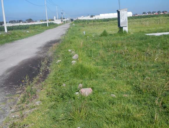TERRENO PLANO A PIE DE CALLE en Villa de Cos (Municipio)