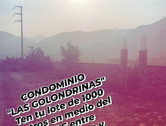 CONDOMINIO LAS GOLONDRINAS