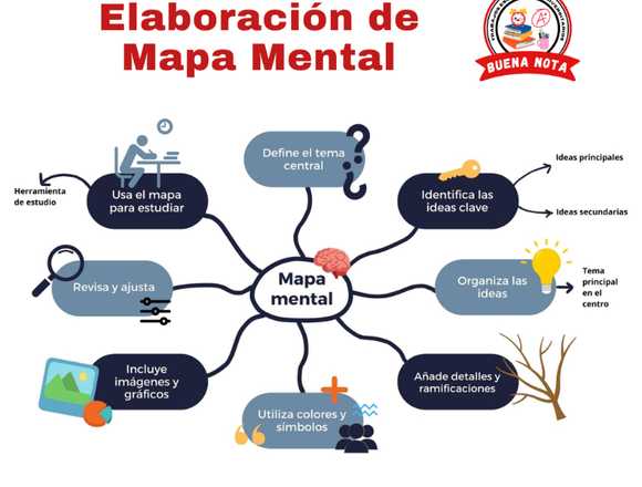 Elaboración de Mapa Mental en Chincha Alta (Distrito)