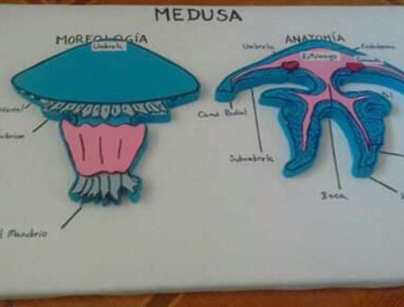 Maquetas en FOMIX para estudianes desde $5 en Pichincha (Cantón)