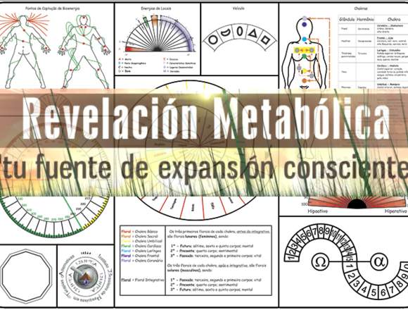 EVALUACIÓN BIOENERGÉTICA Y BIOMAGNETISMO en Alicante/Alacant (Municipio)